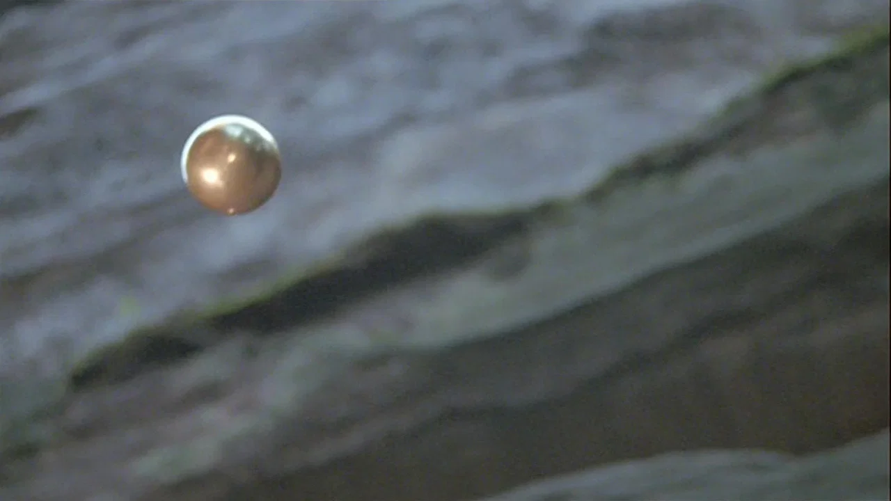 Žab&iacute; princ - 剧照