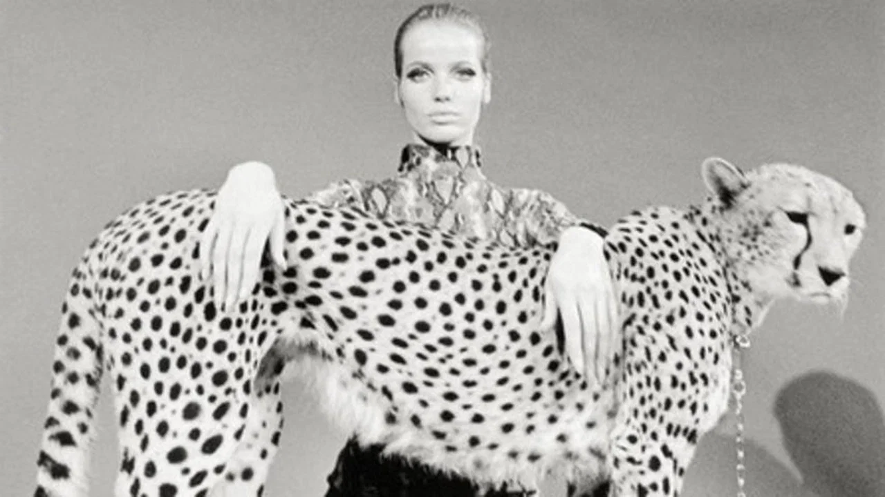 Veruschka - poesia di una donna - 剧照