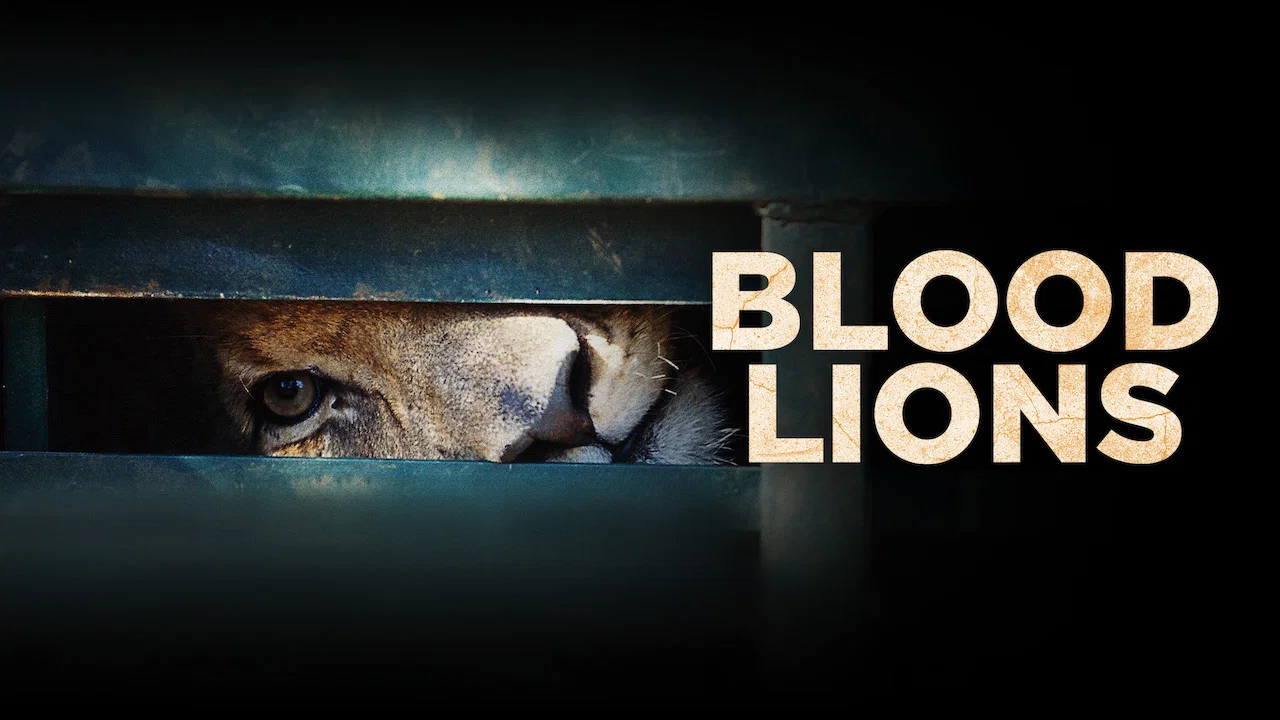 Blood Lions - 剧照