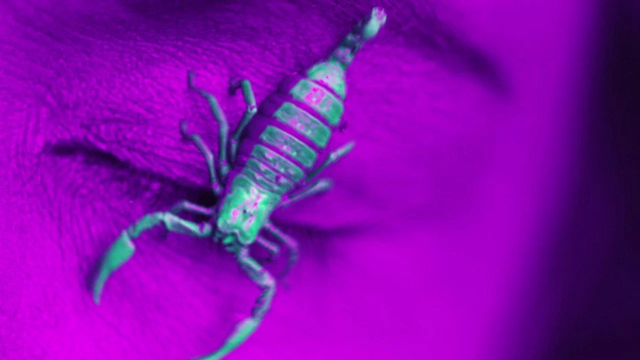 Ultraviolet - 剧照
