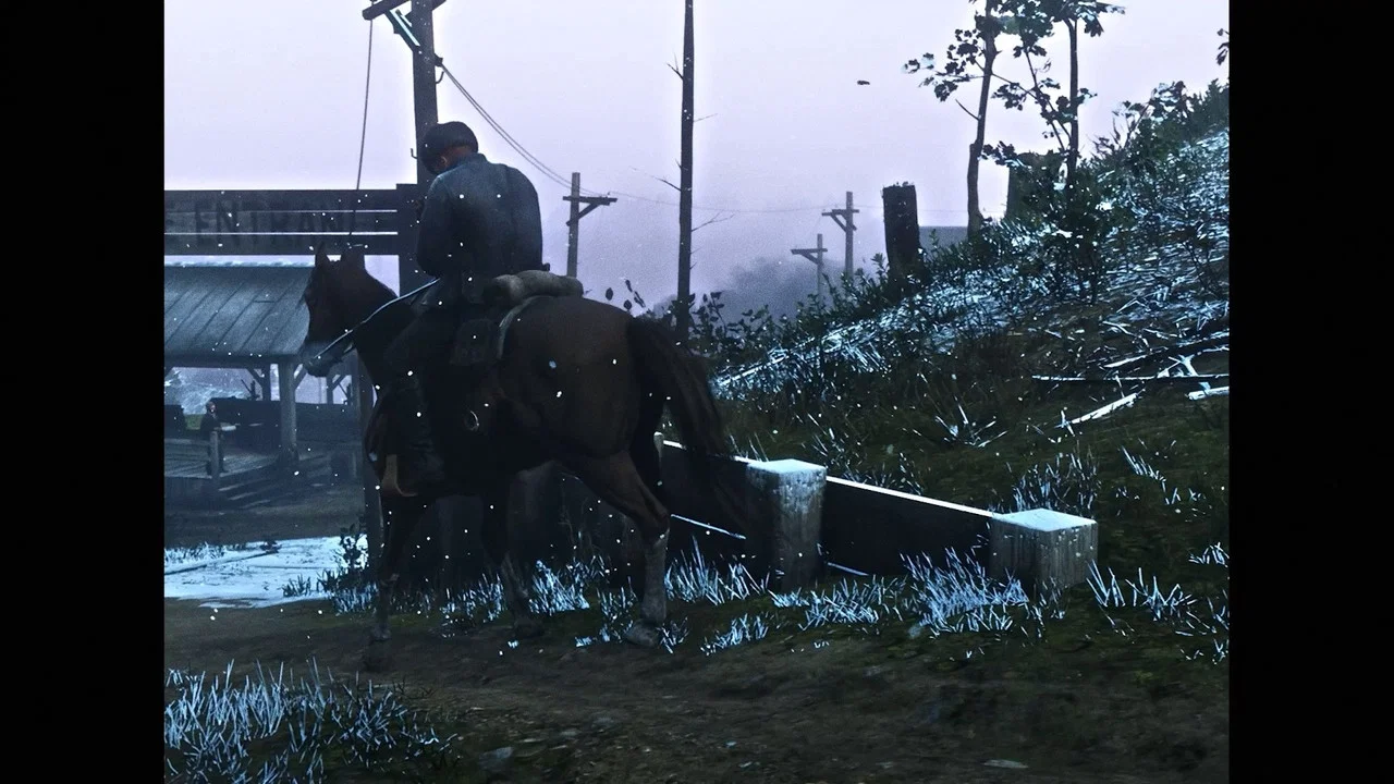 RED DEAD LIBERATION - 剧照