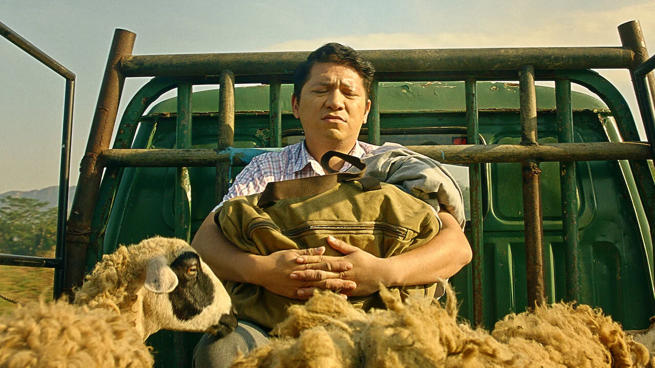 非一般老师 - 剧照