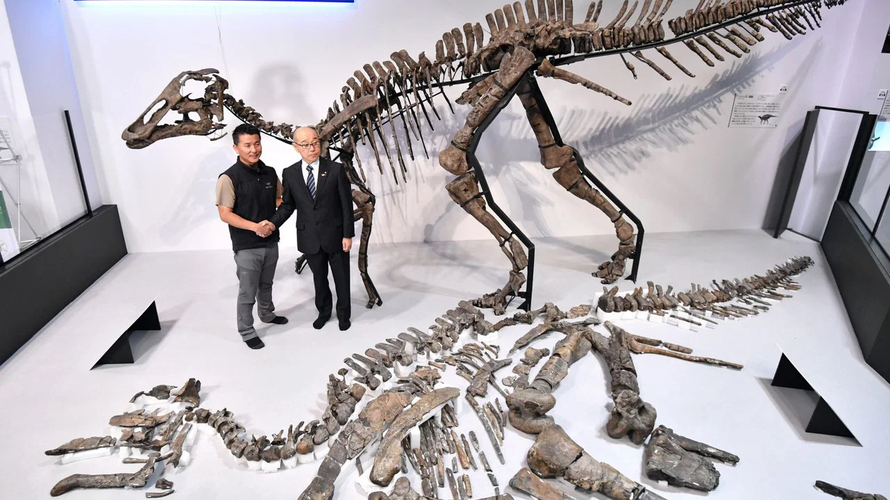 Discovery of the Century &mdash; The Great Dinosaur of Japan - 剧照