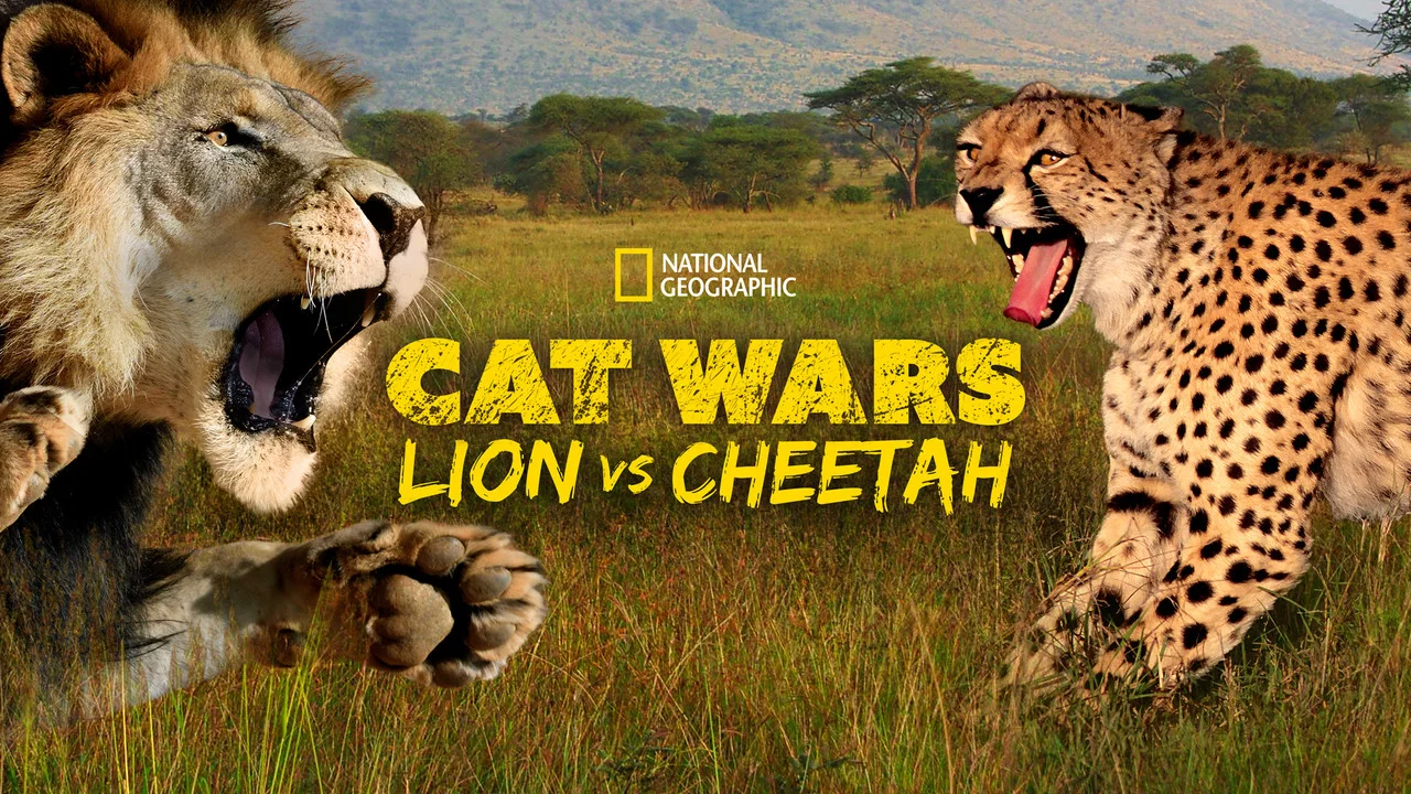 Cat Wars: Lion vs. Cheetah - 剧照