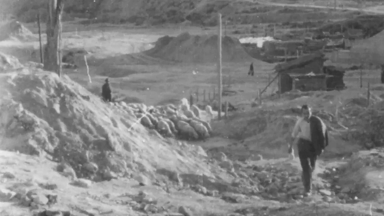 La primera mirada: historia de una escuela de cine - 剧照