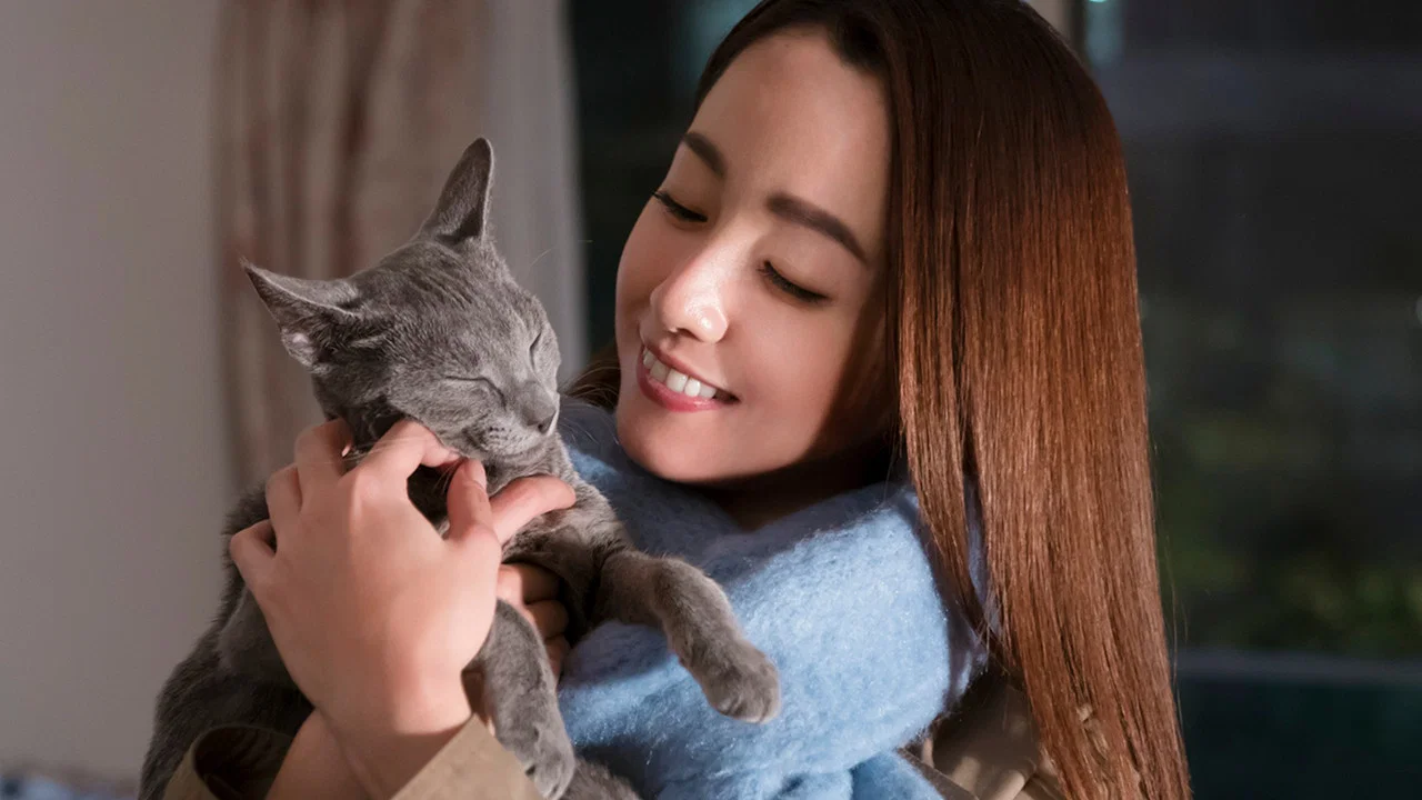 猫是要抱着的 - 剧照