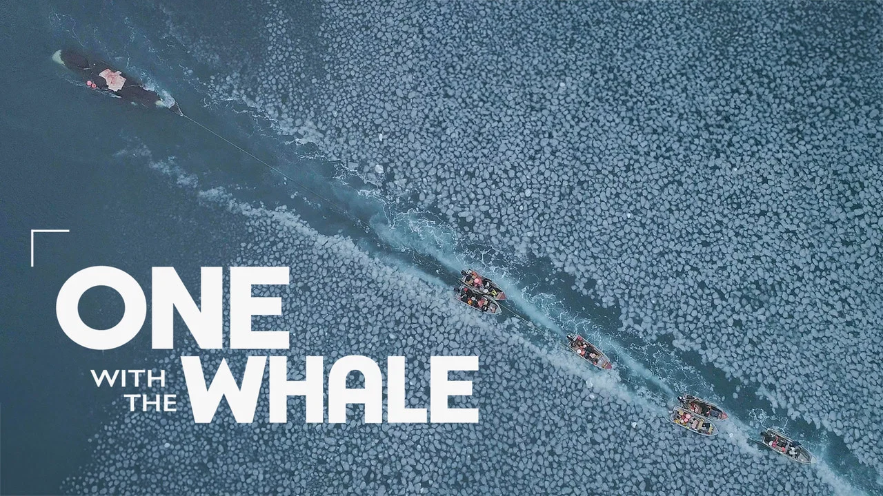 One with the Whale - 剧照