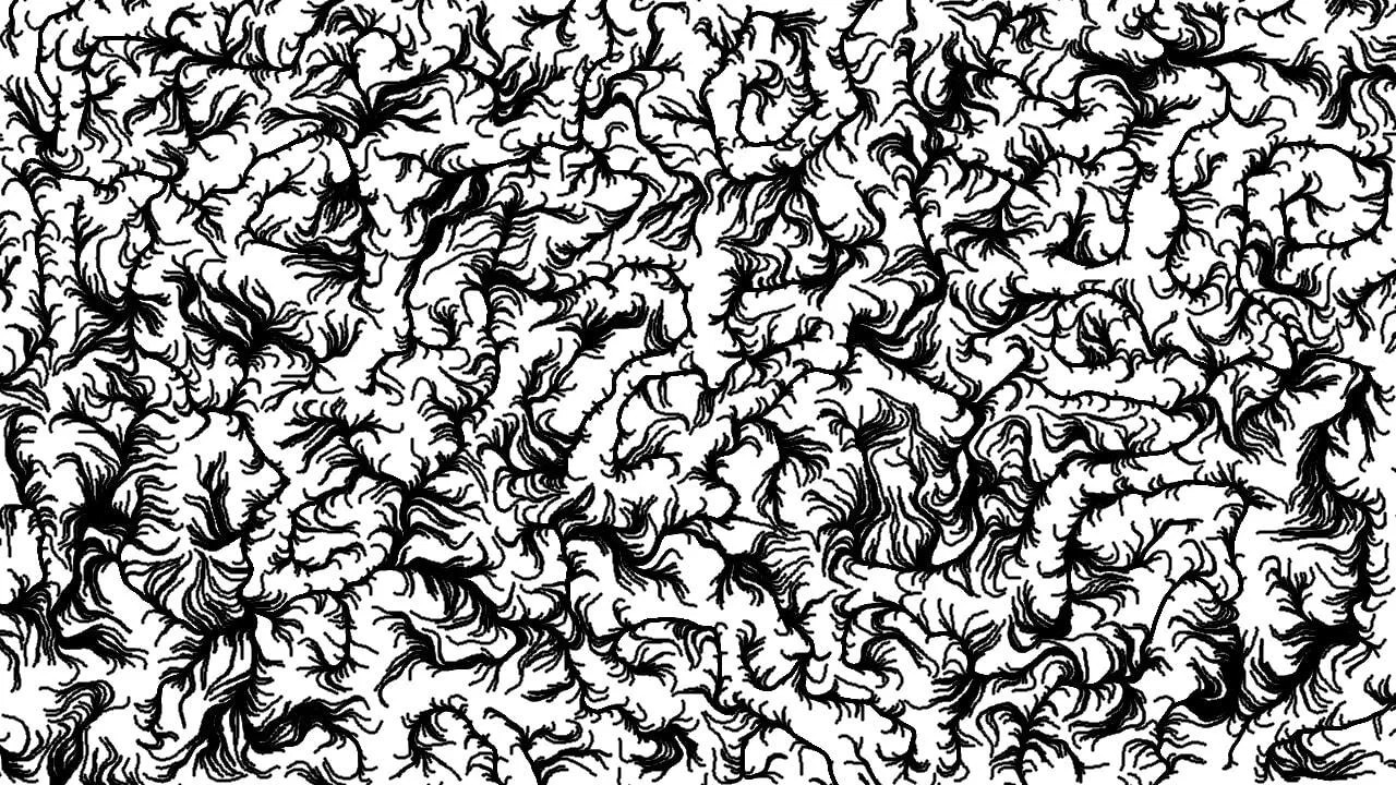 Verr&uuml;ckt - 剧照