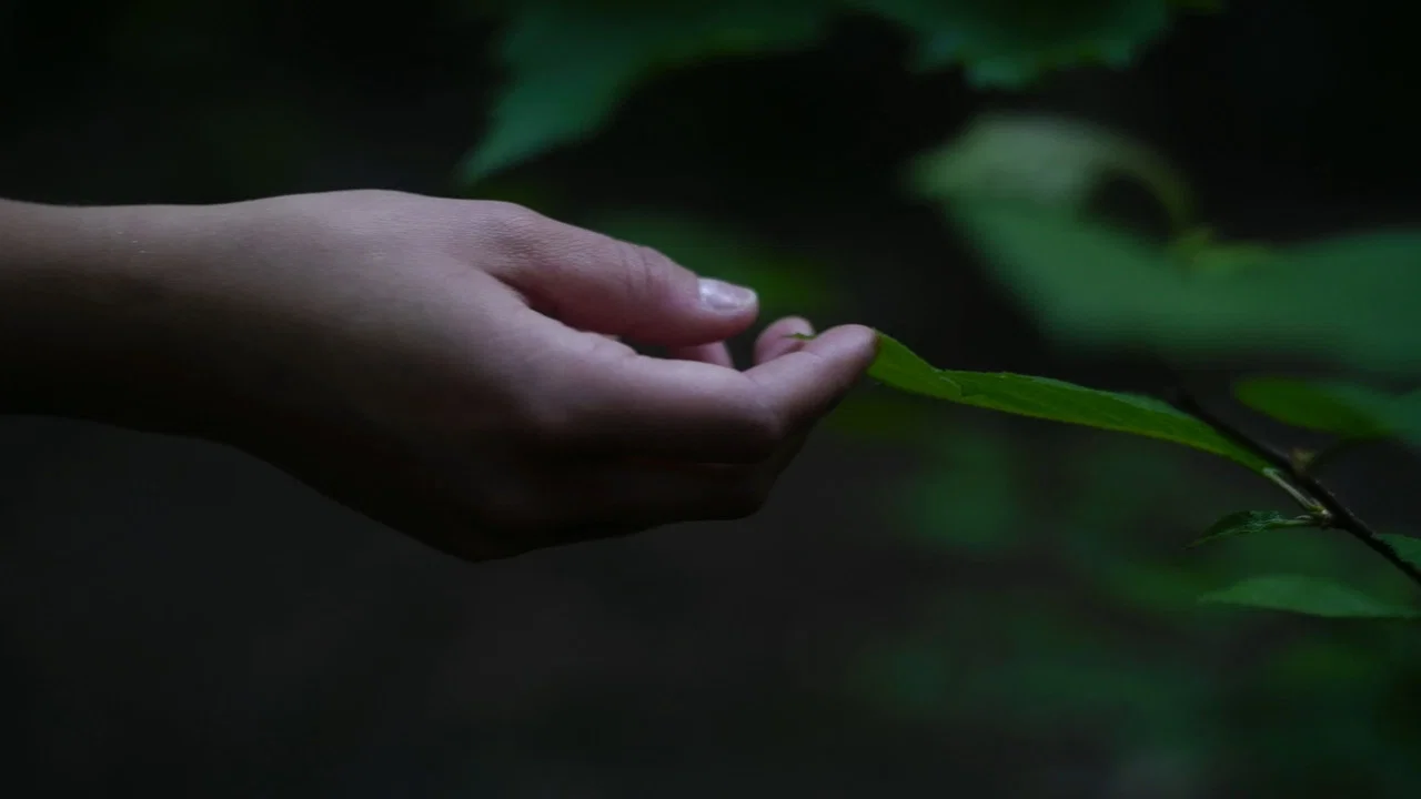 Liminal Girl - 剧照