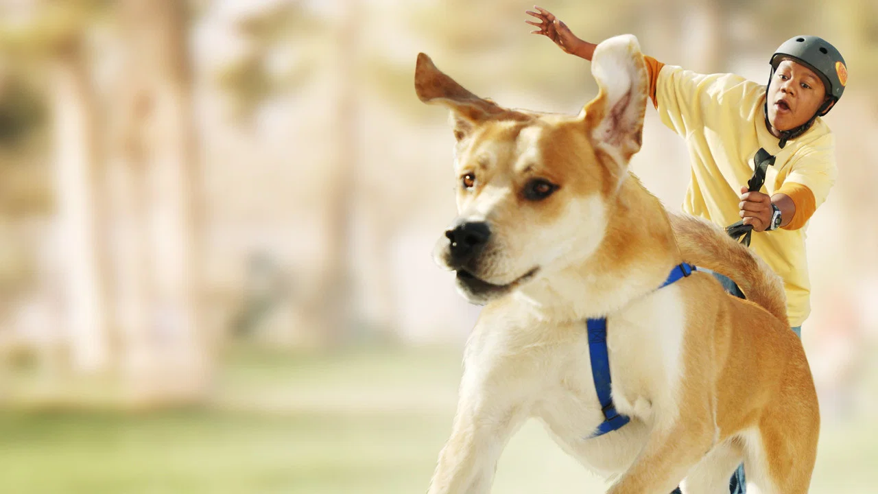 Life Is Ruff - 剧照
