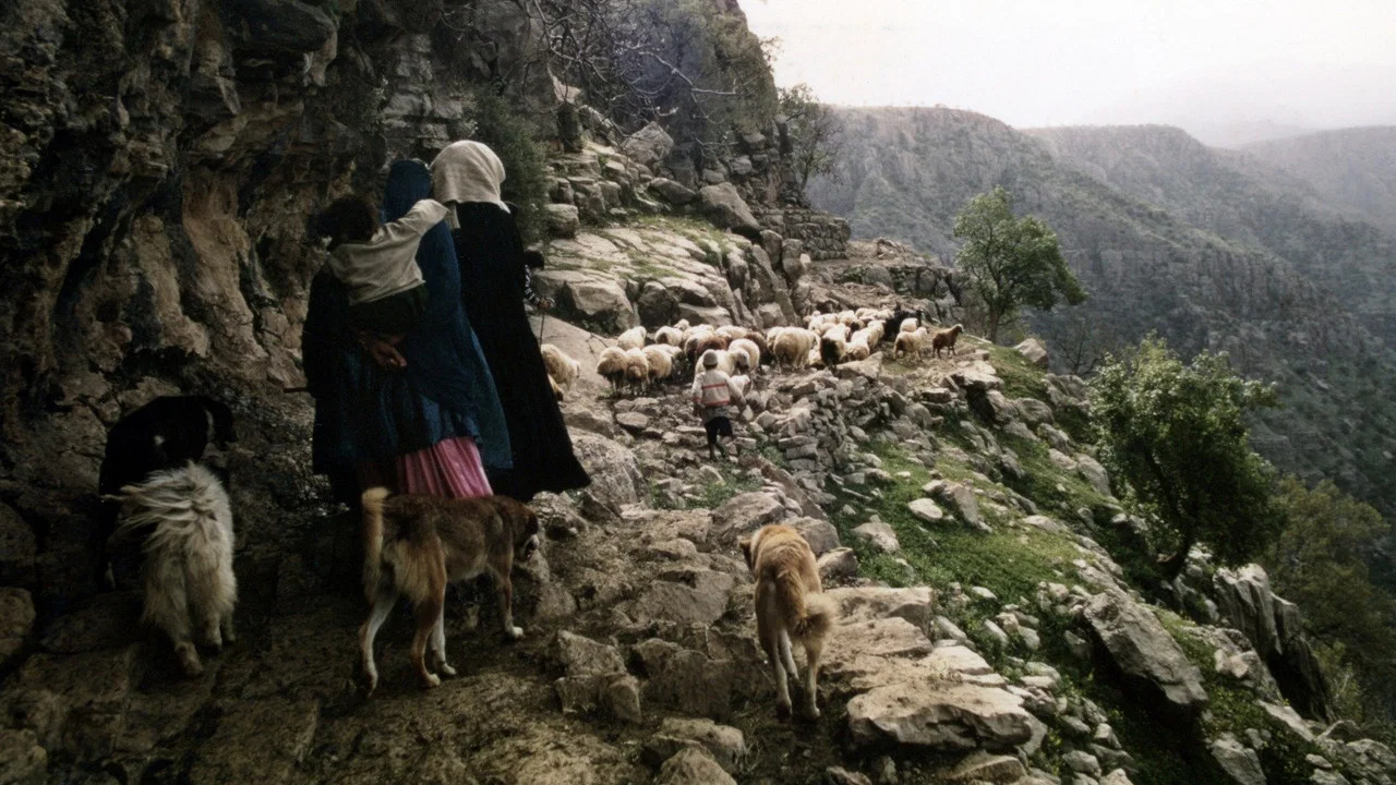 People of the Wind - 剧照