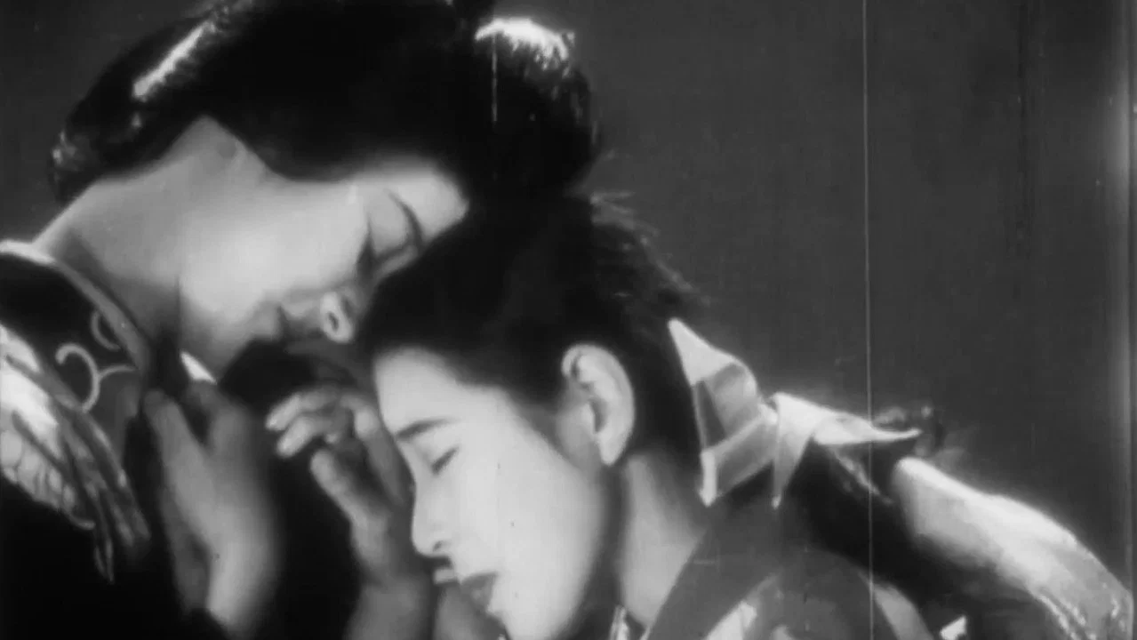 乙女シリーズその一　福寿草 - 剧照