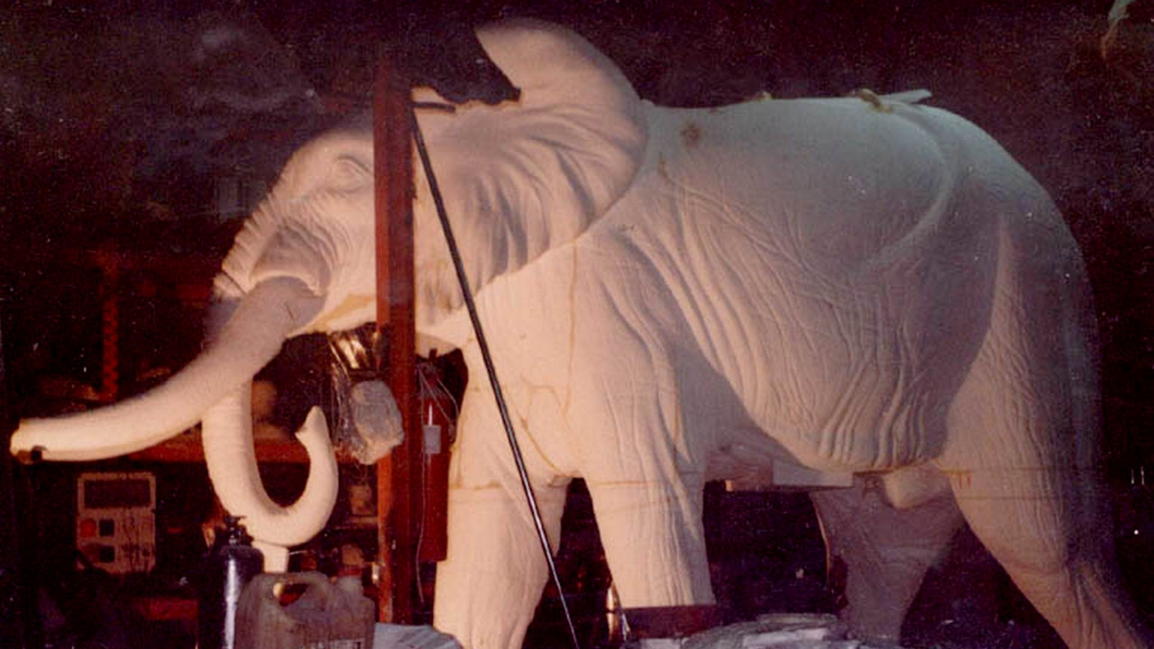 El elefante del rey - 剧照