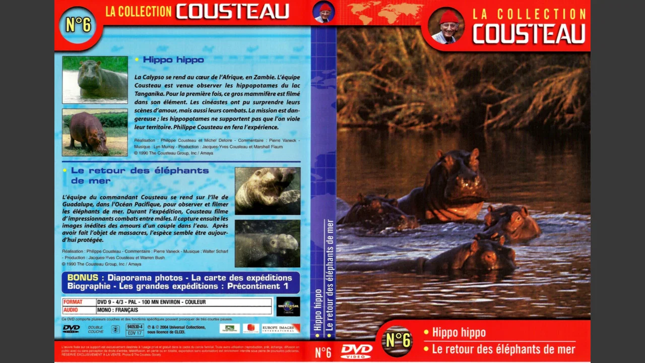 La collection Cousteau N&deg;6 | Hippo, Hippo | Le retour des &eacute;l&eacute;phants de mer - 剧照