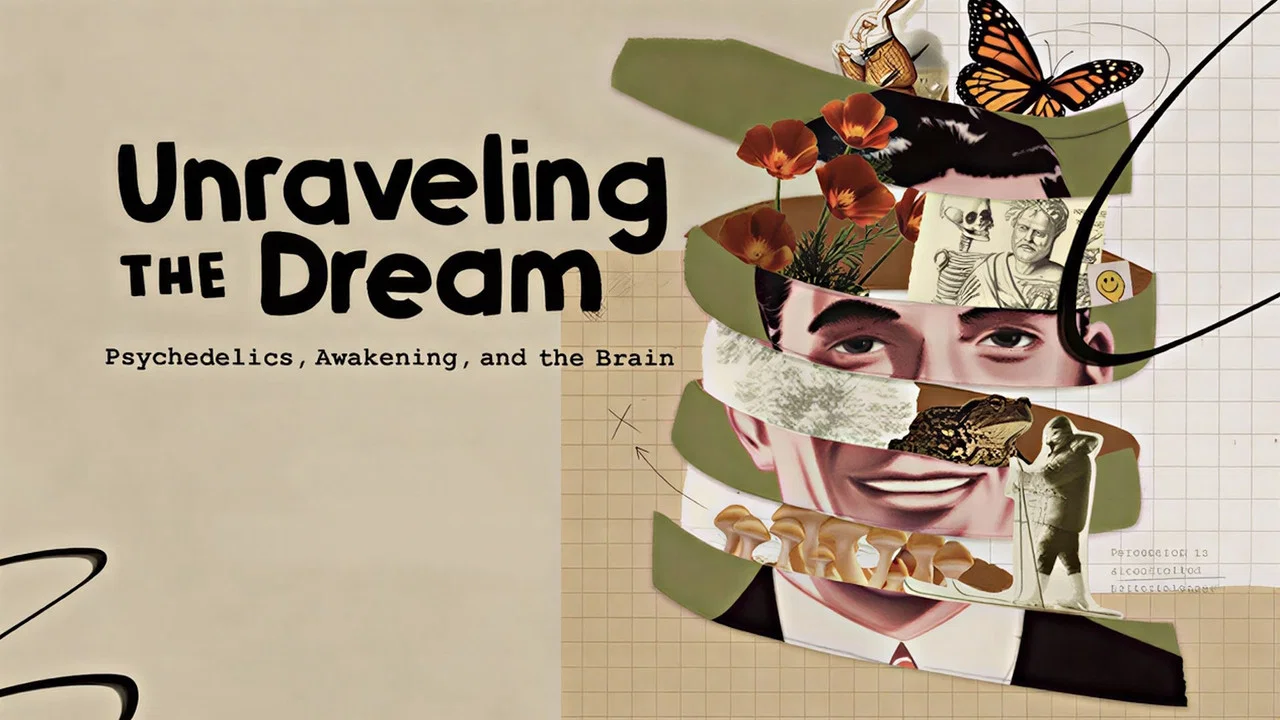 Unraveling the Dream - 剧照