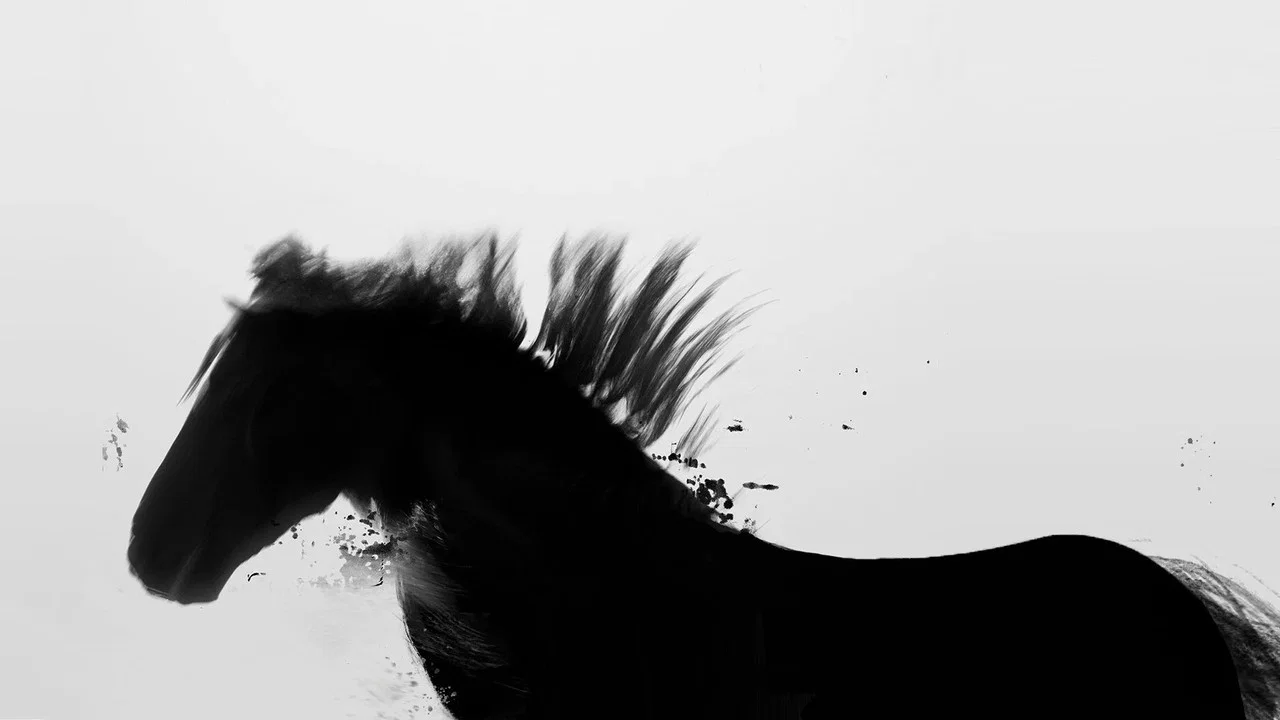 Absent Now the Dead - 剧照