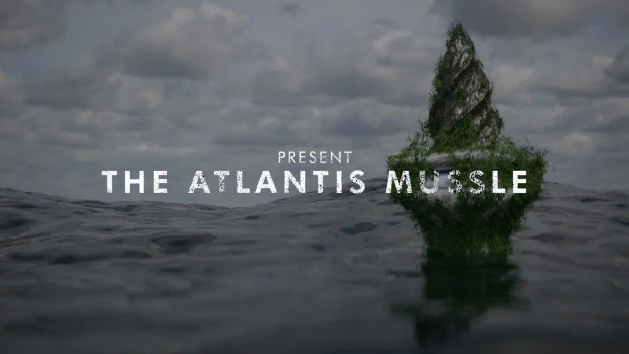 The Atlantis Mussels - 剧照