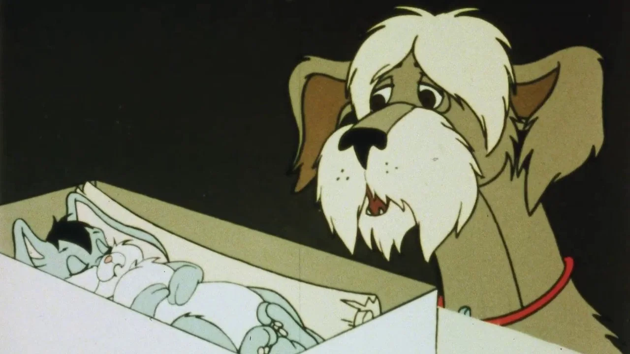 Bunnicula, the Vampire Rabbit - 剧照