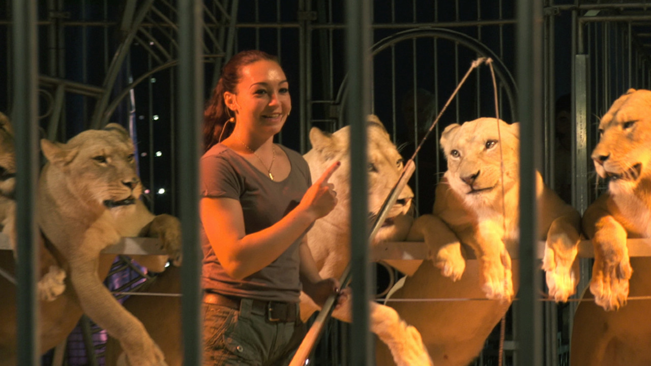 Wild Women: Gentle Beasts - 剧照