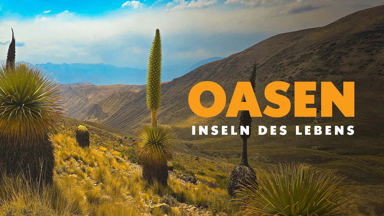 Oasen: Inseln des Lebens - 剧照