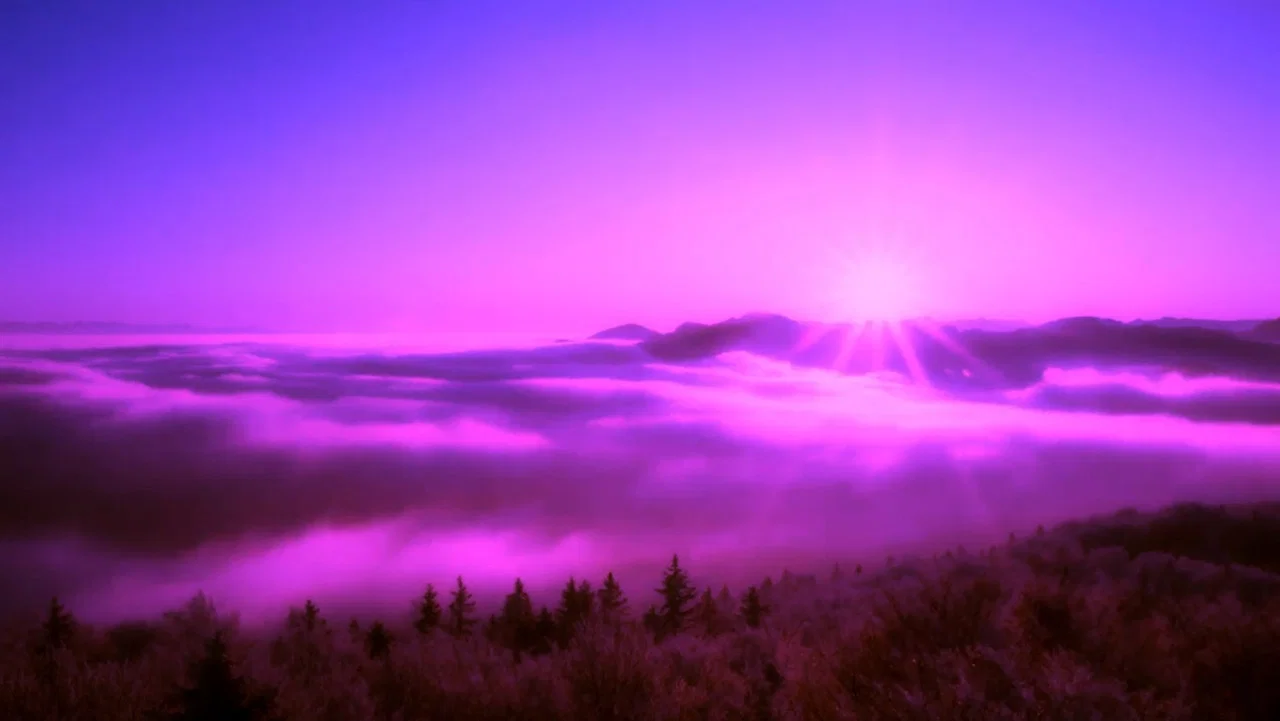 Purple Leone - 剧照