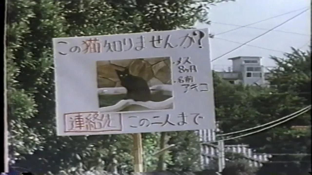 襲られた女 - 剧照