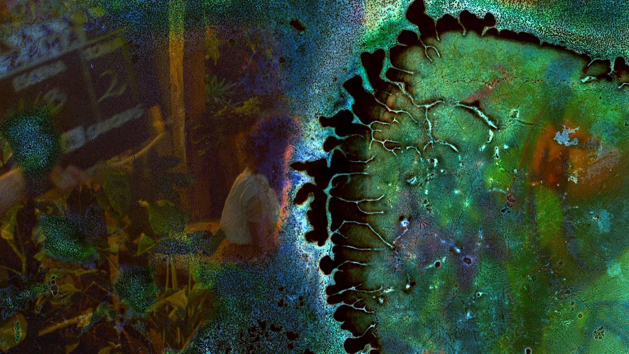 未尽的电影 - 剧照