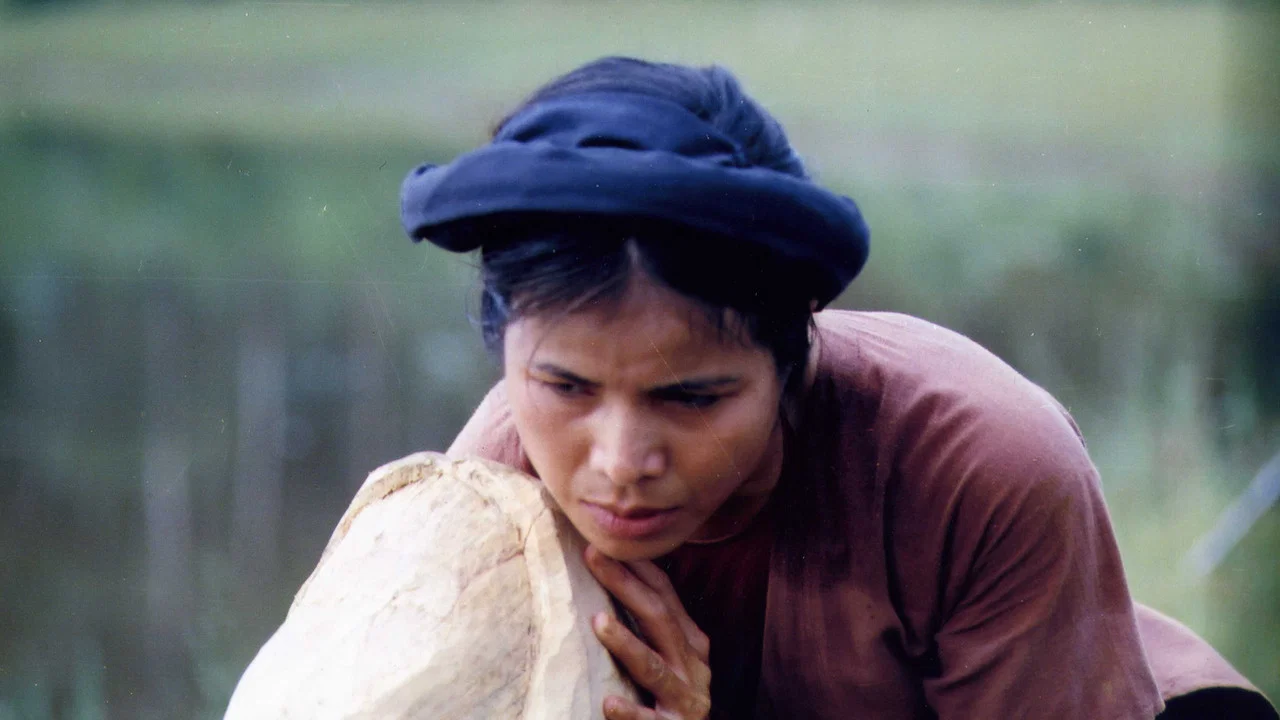 M&ecirc; Thảo - thời vang b&oacute;ng - 剧照