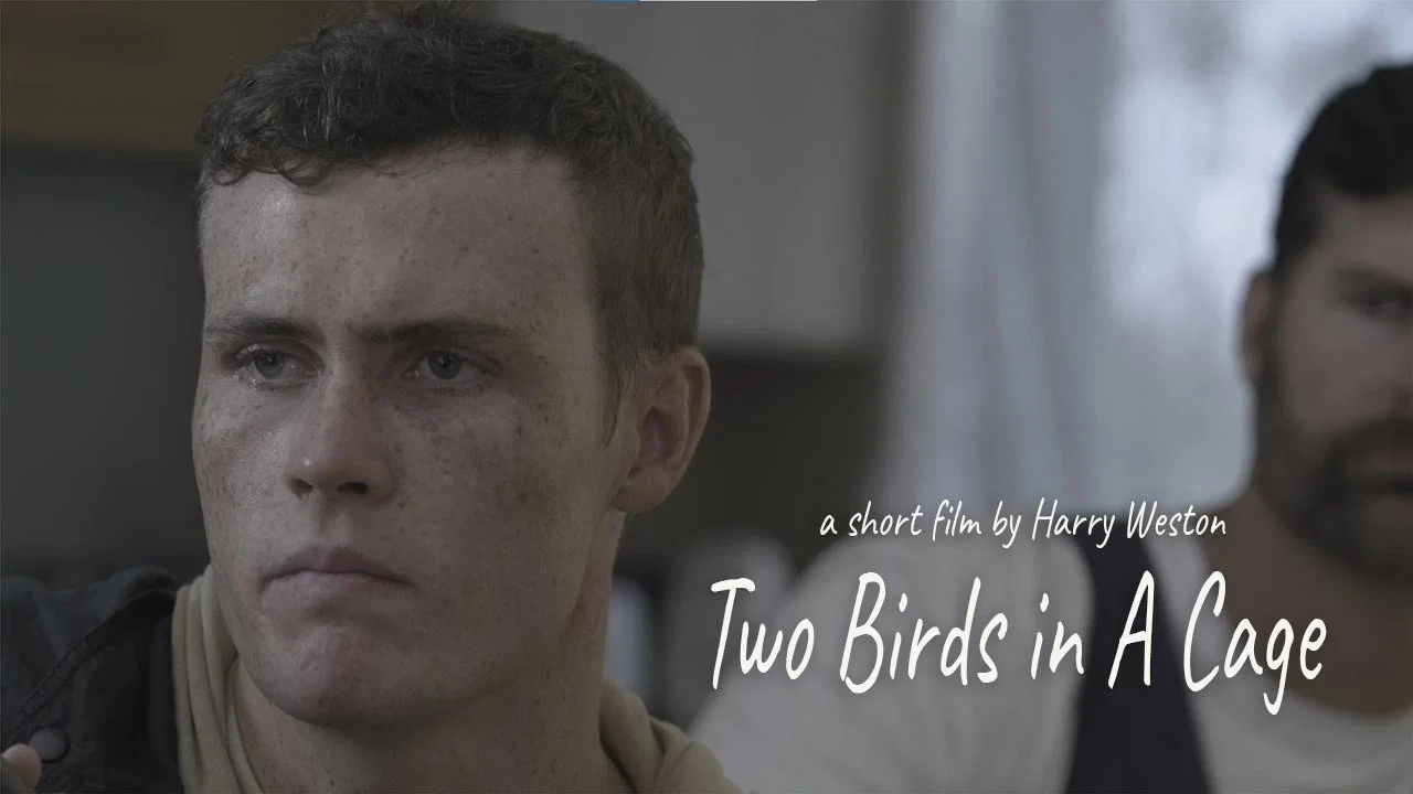 Two Birds in a Cage - 剧照