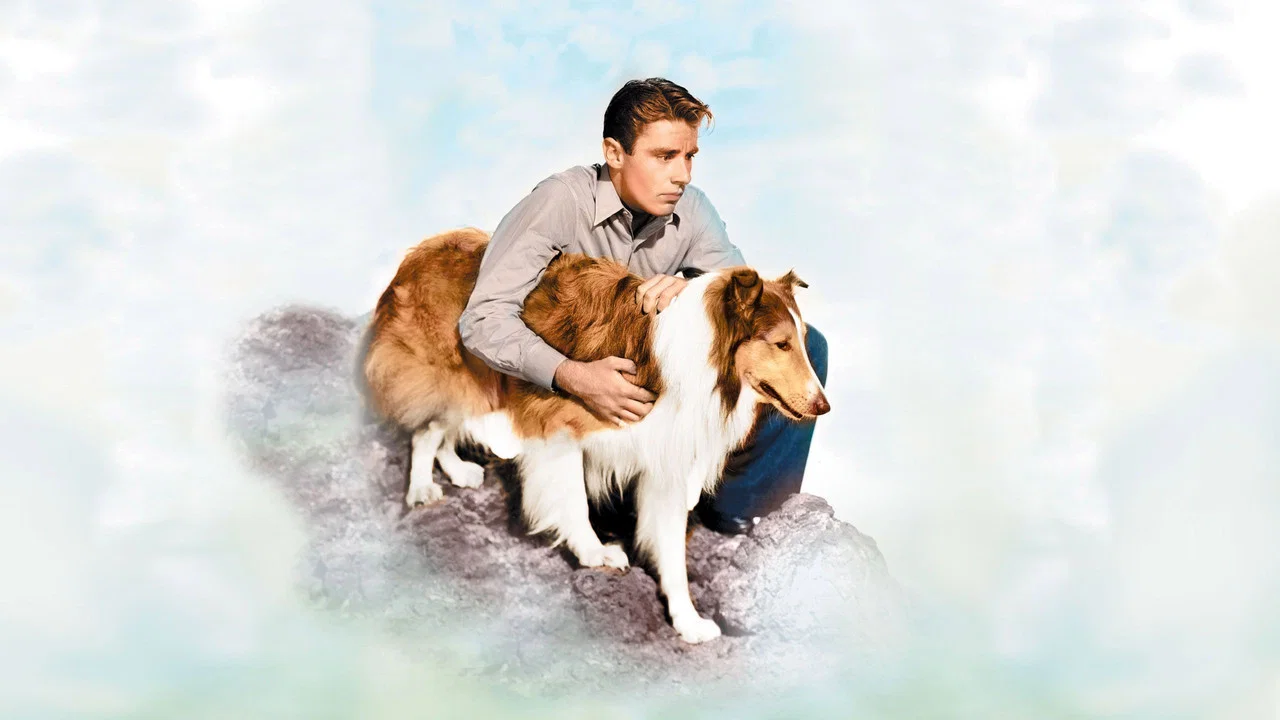 灵犬莱西2：沙场义犬 - 剧照