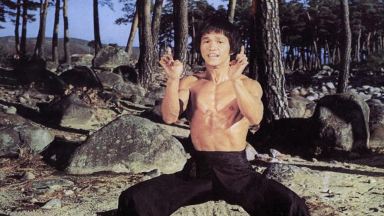 Bruce and Shaolin Kung Fu - 剧照