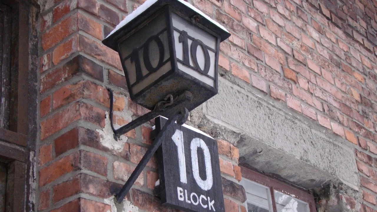 Medizinversuche in Auschwitz - Clauberg und die Frauen von Block 10 - 剧照