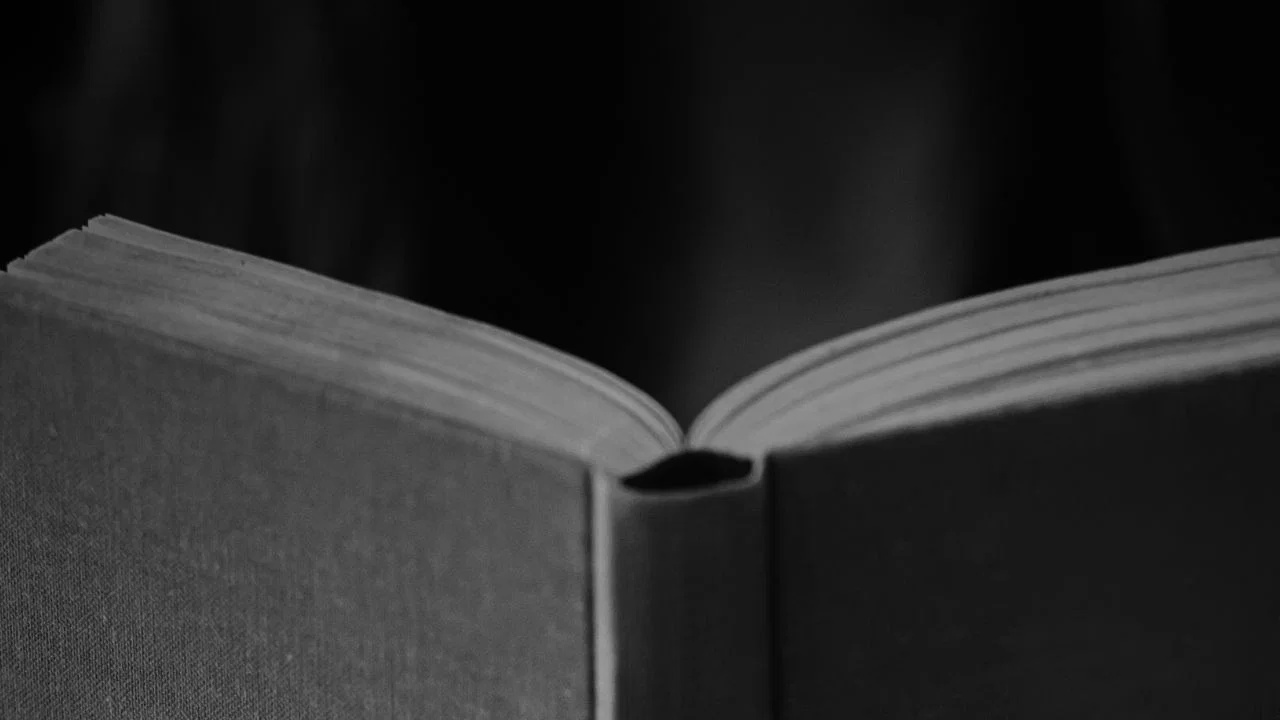 The Book Club - 剧照