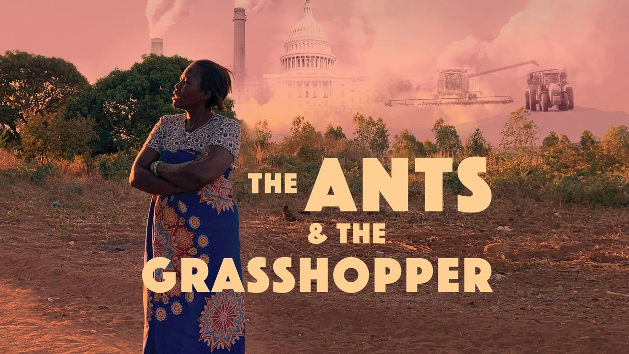The Ants and the Grasshopper - 剧照