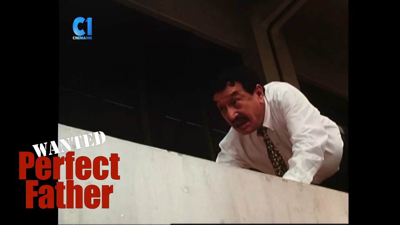 Wanted: Perfect Father - 剧照