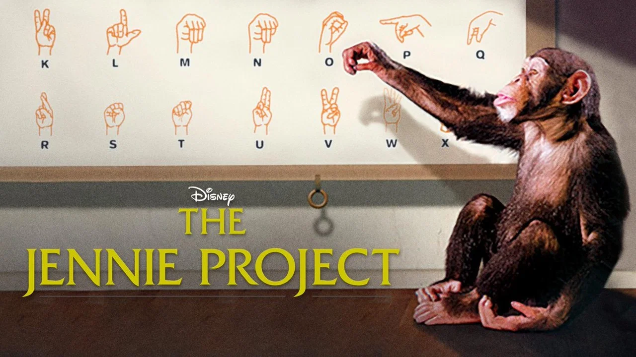 The Jennie Project - 剧照
