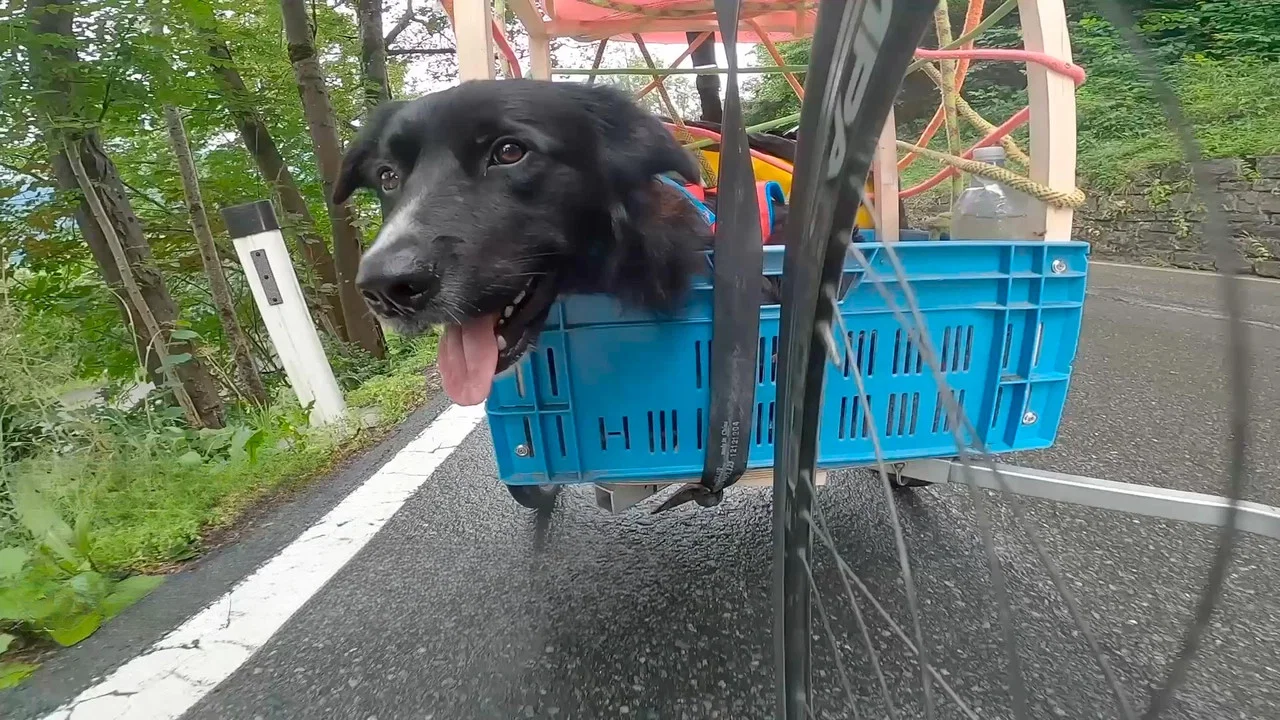Alpine Trilogy - Doggystyle - 剧照