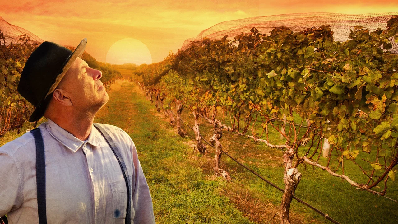 From the Vine - 剧照