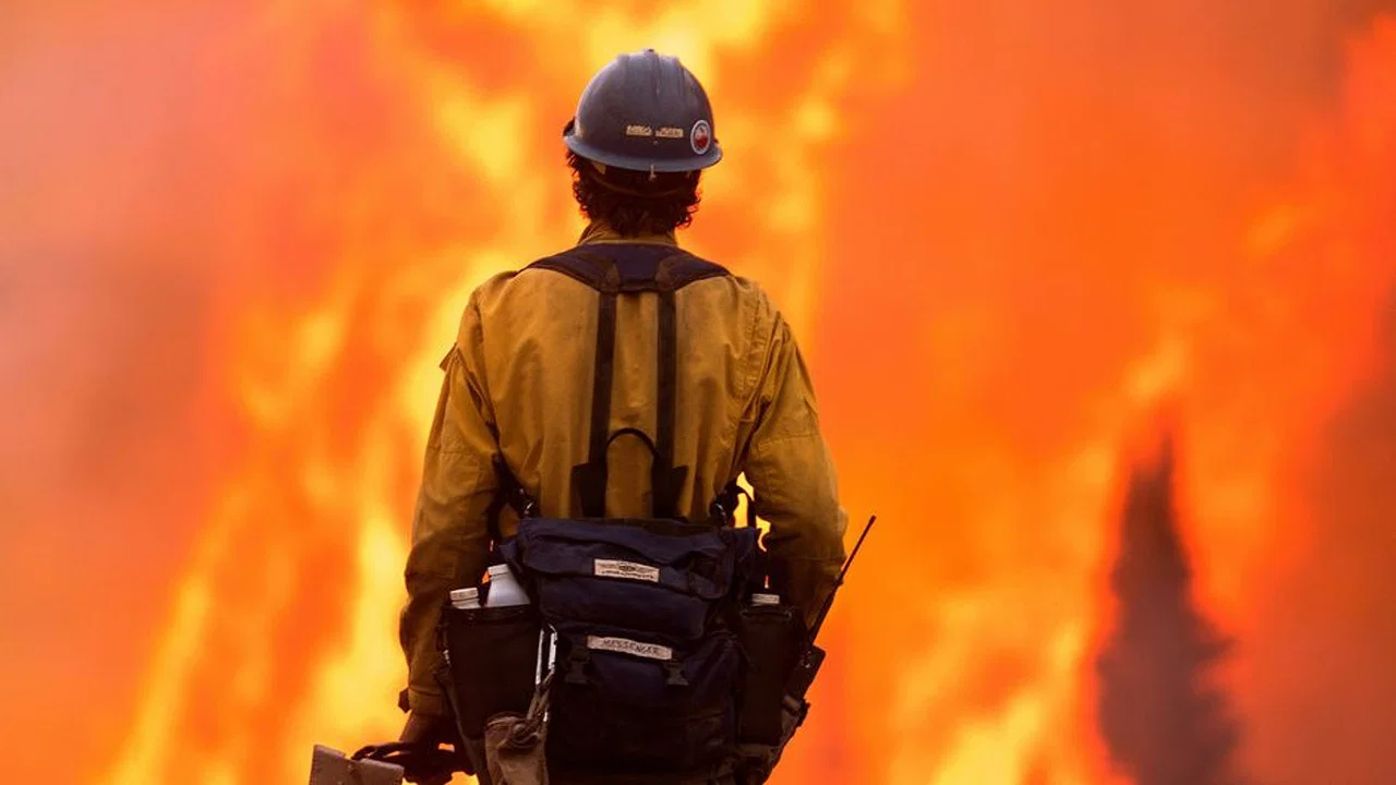 Incendies g&eacute;ants : enqu&ecirc;te sur un nouveau fl&eacute;au - 剧照