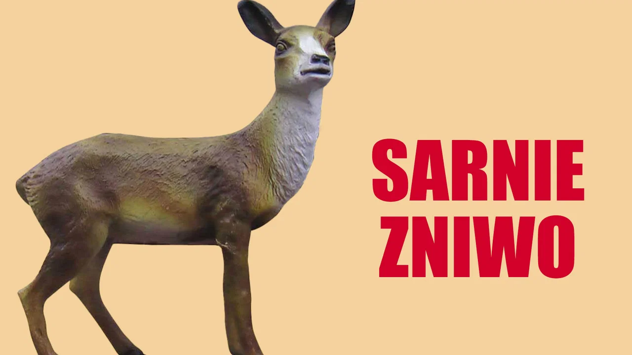 Sarnie żniwo, czyli pokusa statuetkowego szlaku - 剧照