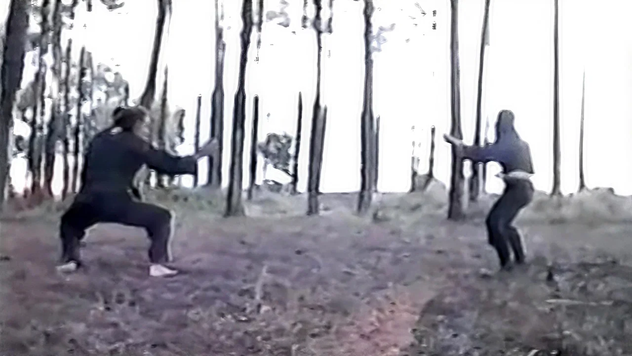 O Ninja das Caldas - 剧照
