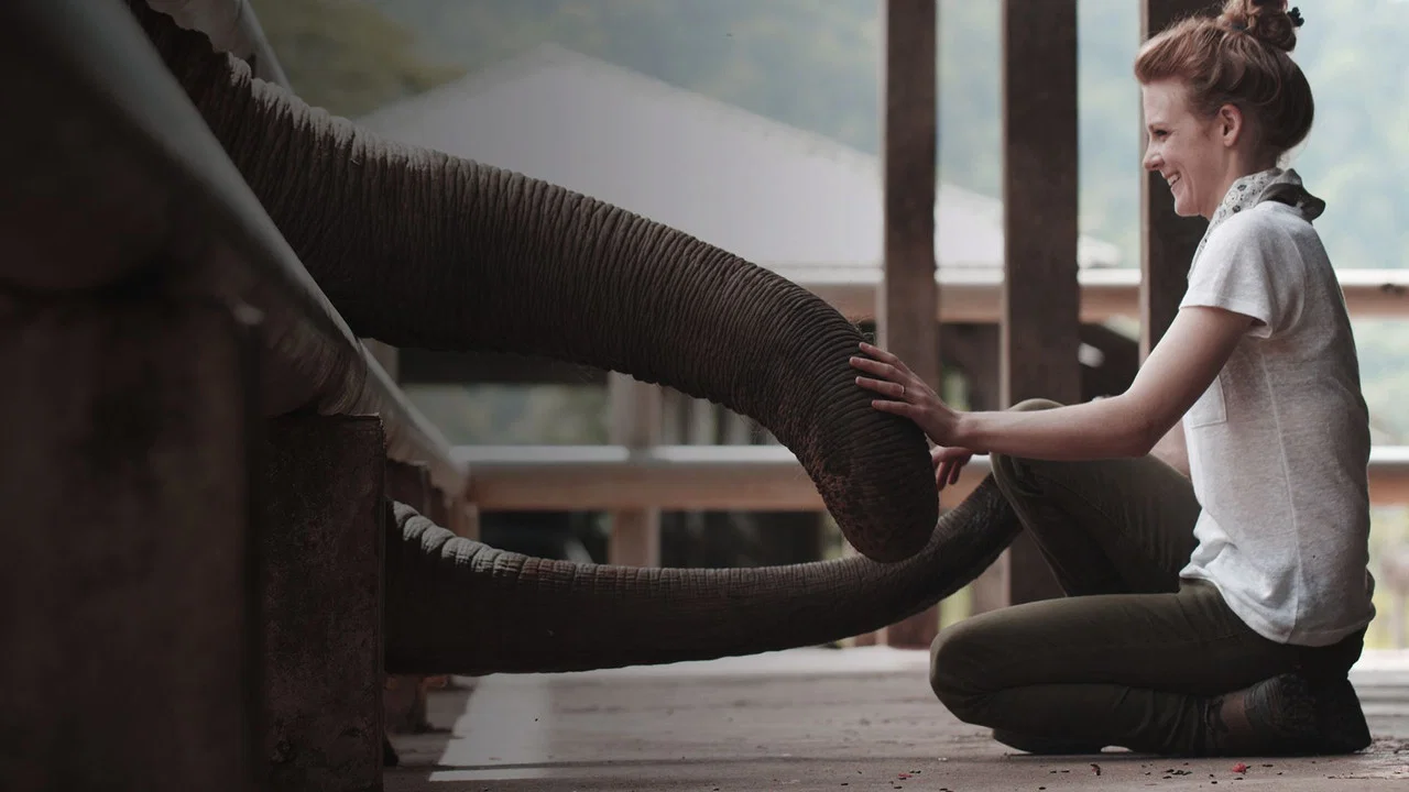 Love & Bananas: An Elephant Story - 剧照