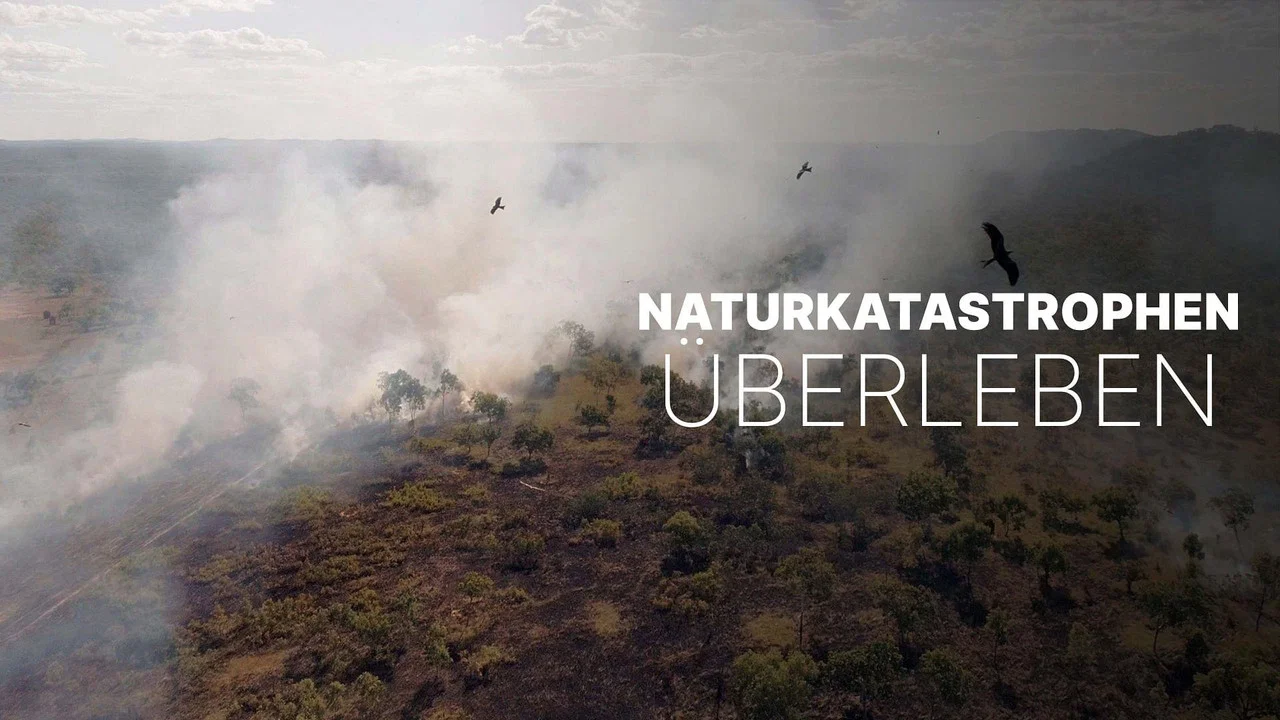 Survivre aux catastrophes, les strat&eacute;gies de la nature - 剧照
