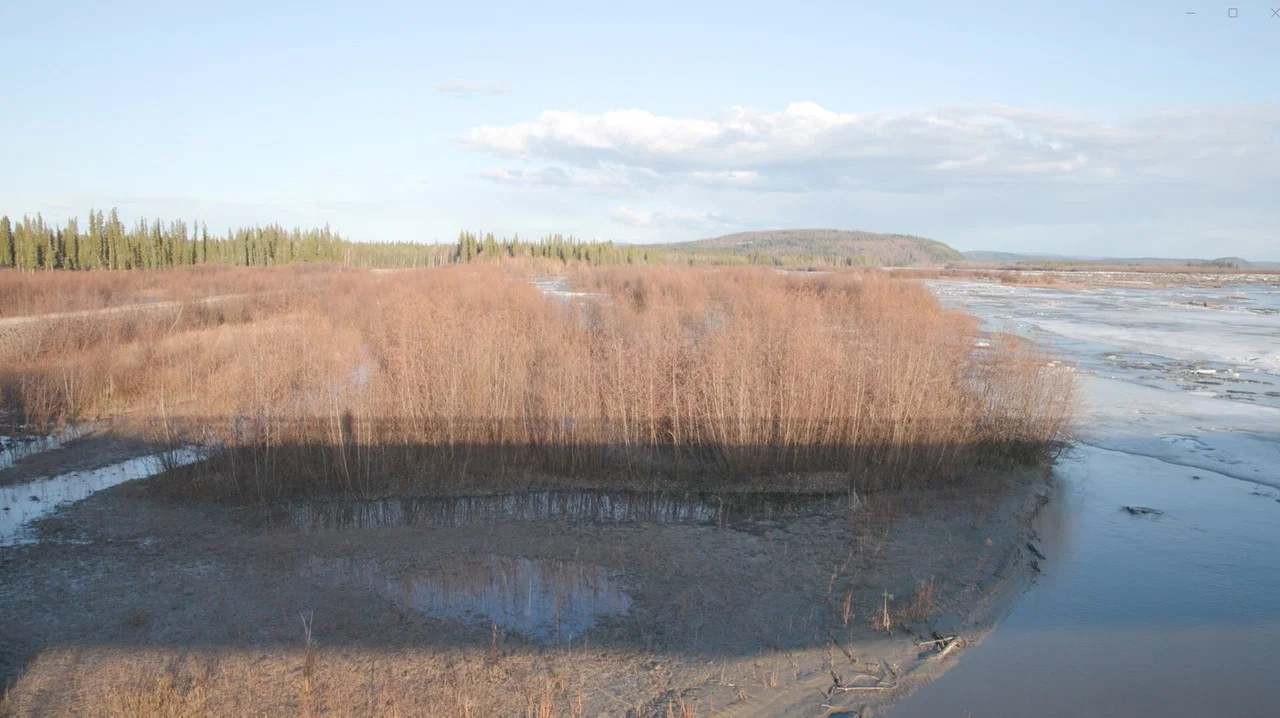The Story of a Slough - 剧照