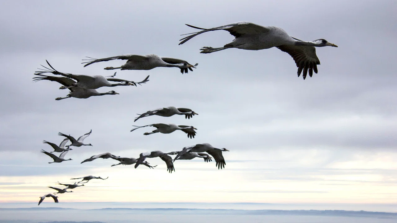 地球四季 - 剧照