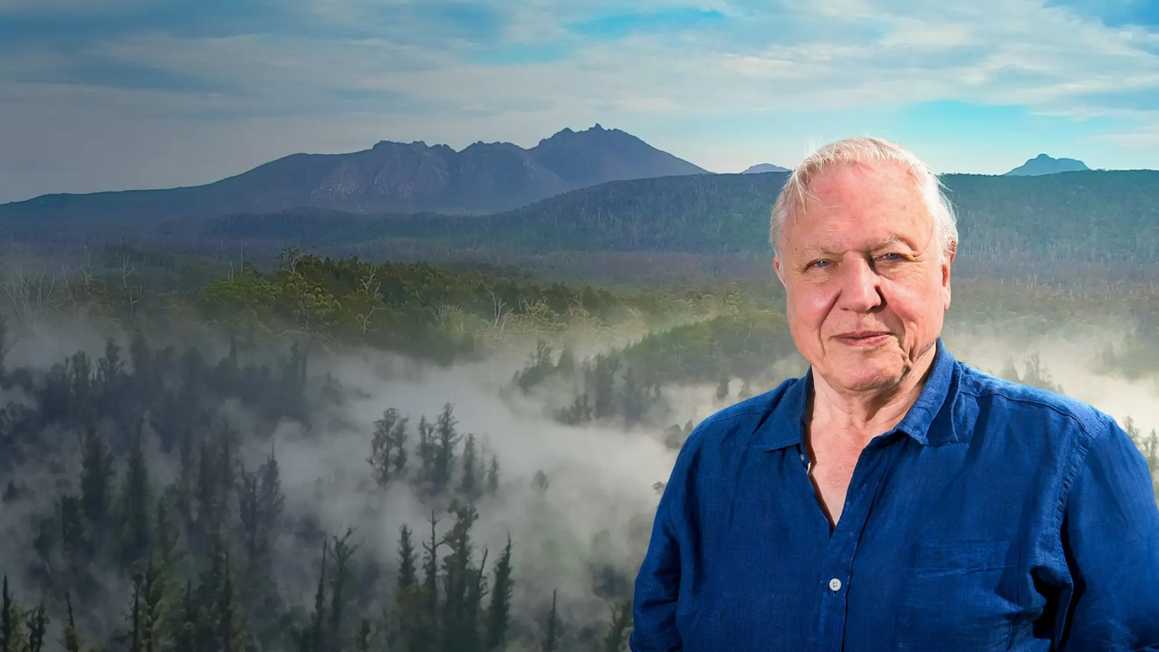 David Attenborough's Tasmania - 剧照