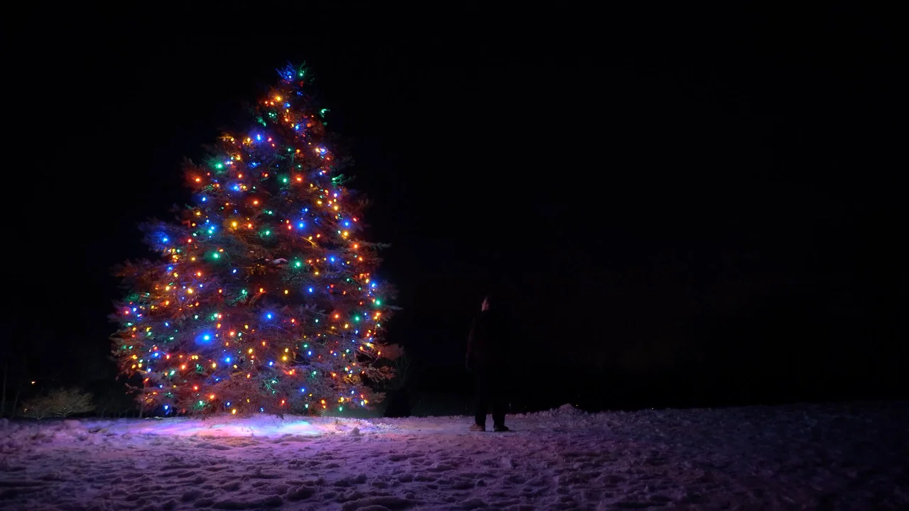 Secret Santa: A Christmas Adventure - 剧照