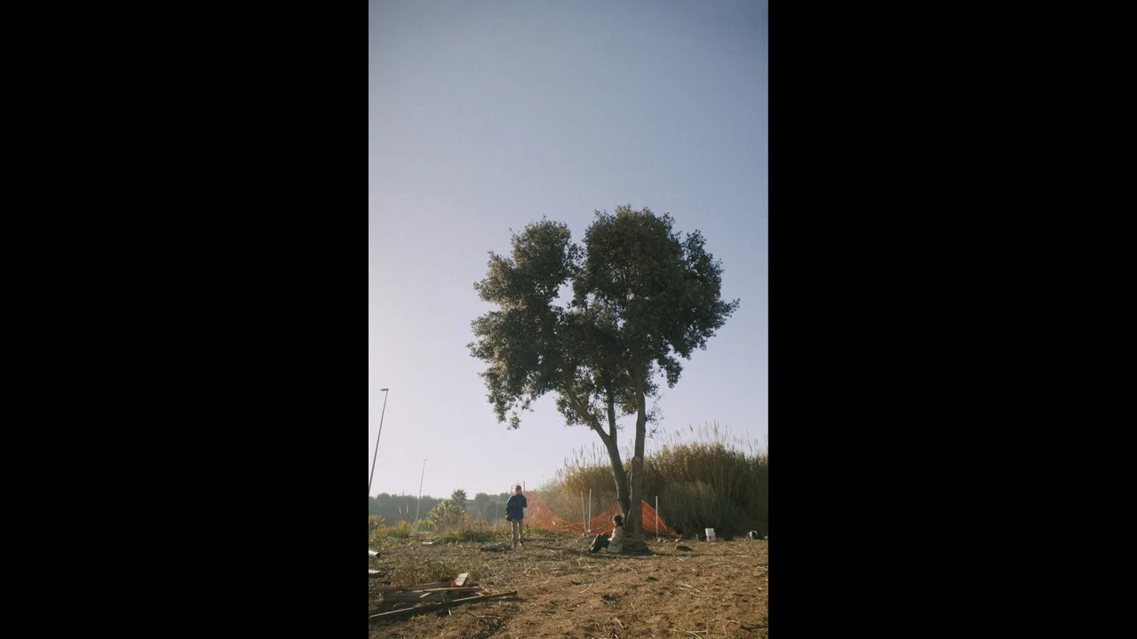 El crit sord dels arbres - 剧照
