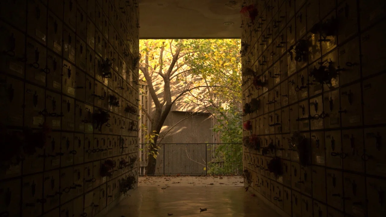 Santuario - 剧照