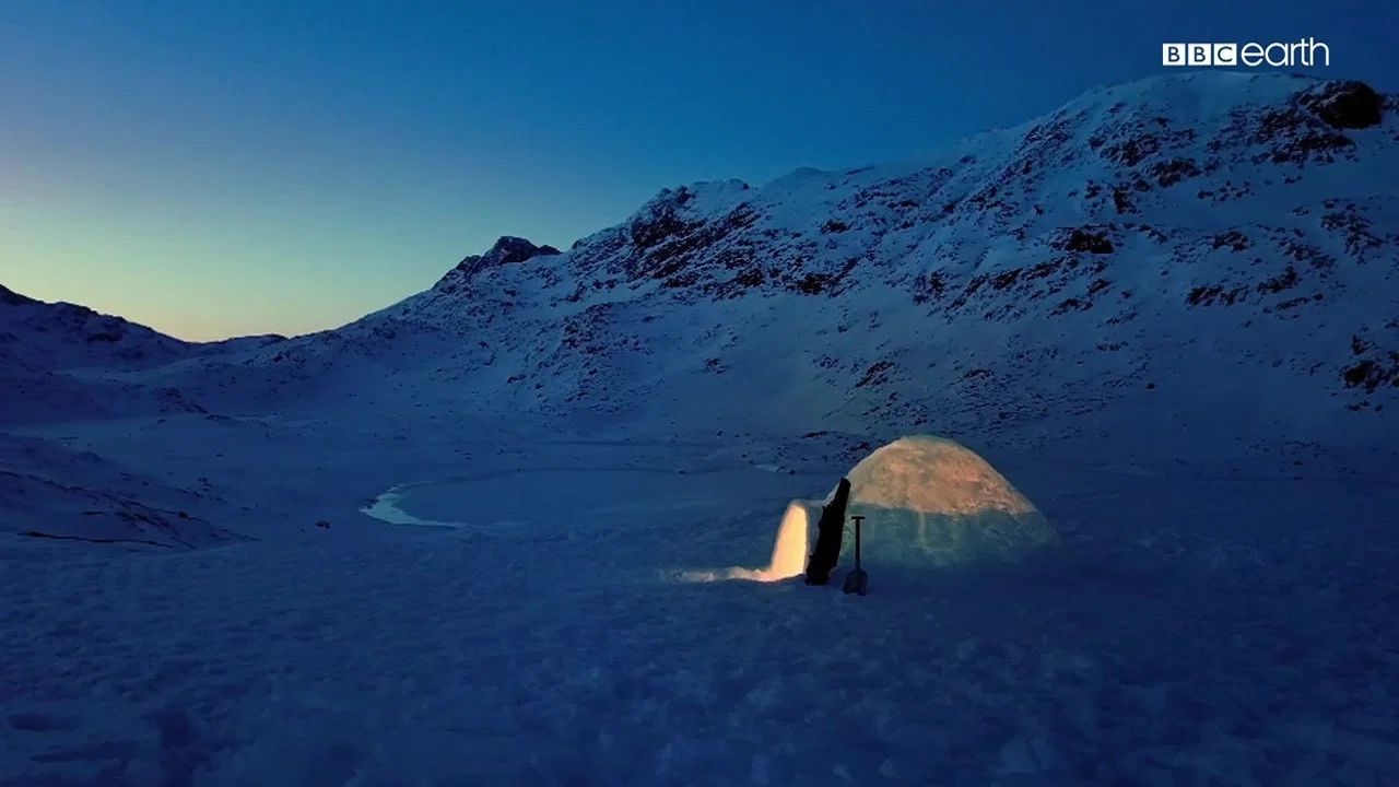The Last Igloo - 剧照